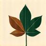 Australian leaf icon for timbers